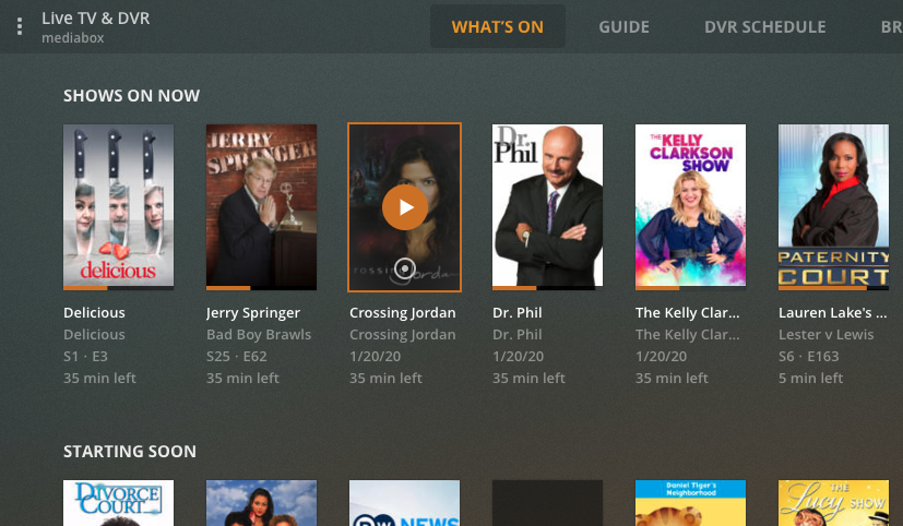 what is plex media player